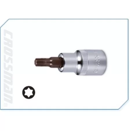 Dado Torx 1/2" T-60 99233 Crossman