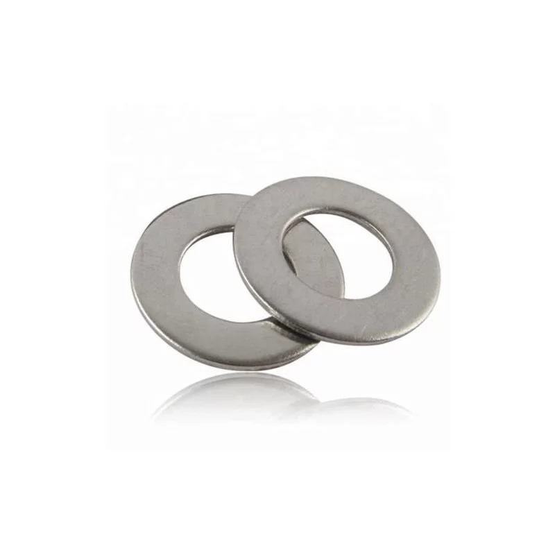 Golilla Plana Ac.Inox 316 10Mm