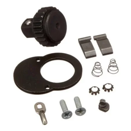 Kit Reparacion Torquimetro 1/4" 250 Lb-In 297921