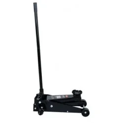 Gata Cayman 03 Ton Corta...