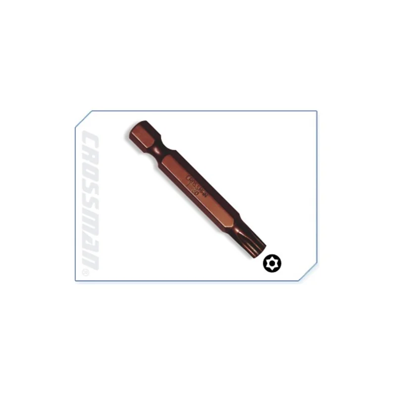 Punta Torx C/Guia Larga T-40 1/4 - 50Mm 44533 Cr