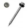 TORNILLO AUT.C/HE G/GOM P/LABIO 100PC 10X2.1/2 PRV