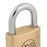 CANDADO LISO STANDARD SERIE B 25MM B25 ODIS